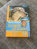 Martin Rütter, Angst bei Hunden Baden-Württemberg - Dachsberg Vorschau