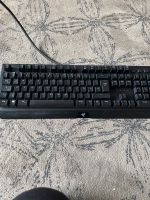 Razer Blackwidow Elite Tastatur Niedersachsen - Wolfenbüttel Vorschau