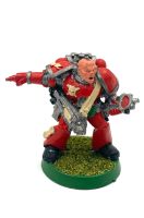 Metall Space Marines Veteran Sergeant - bemalt - Warhammer 40K Rheinland-Pfalz - Wörth am Rhein Vorschau