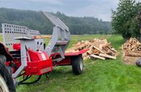 Brennholz spalten sägen Abtransport Lohnspalten Hessen - Gießen Vorschau