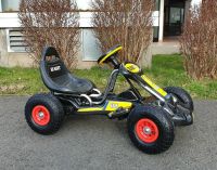 Kinderauto Gokart Elektroauto Kettcar Kinderfahrzeug ATV Quad UTV Sachsen - Glauchau Vorschau