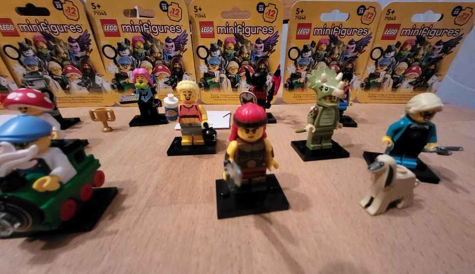 LEGO 71045 Minifiguren Serie 25 kompletter Satz 12 Figuren in Wiesbaden