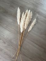 Pampas Gras Schwerin - Krebsförden Vorschau