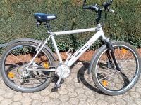 Fahrrad Phil Rogers Mohawk 26 Zoll Mountainbike Rheinland-Pfalz - Kell am See Vorschau