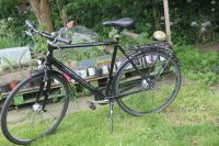 28 er Bergamont Alu Herrenrad, Speedbike  Rh 60cm Neumünster - Wasbek Vorschau