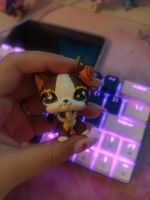 Littlest pet shop custom Niedersachsen - Uelzen Vorschau