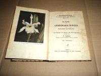 Orchideen für Blumenschnitt und Dekoration 1900 Thüringen - Schmalkalden Vorschau