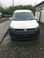 VW Caddy Diesel   12/2017 Volkswagen Nordrhein-Westfalen - Paderborn Vorschau