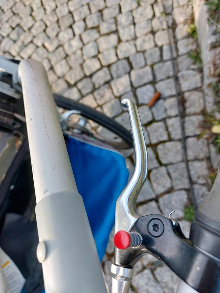 Thule Chariot CX2 in Pöhl
