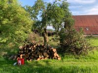 Garten Bäume und Grünschnitt Baden-Württemberg - Mengen Vorschau