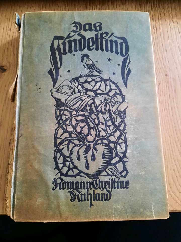 Antiquarisches Buch "Das Findelkind" 1920, Ch. Ruhland in Gröbenzell