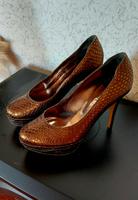 Högl High Heels Schuhe, Boots, Sneakers Niedersachsen - Hankensbüttel Vorschau