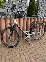 Damenfahrrad Alu-Rex 8-Gang Sachsen-Anhalt - Freyburg (Unstrut) Vorschau