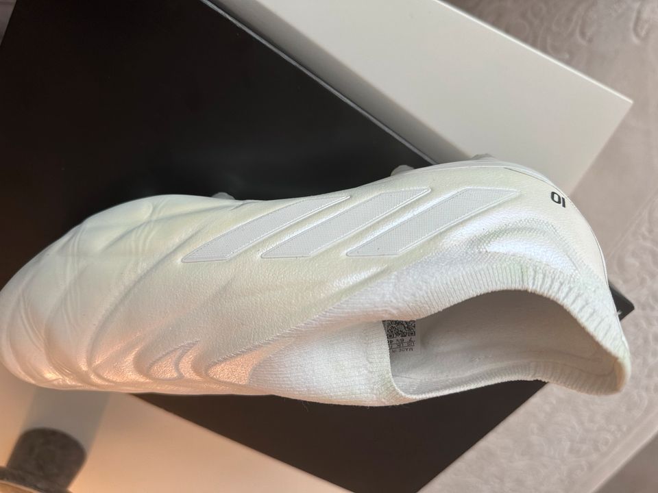 Adidas COPA Neu Grösse 40 in Rheinfelden (Baden)