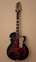 Isana "Black Rose" Jazz-Gitarre Rheinland-Pfalz - Lingenfeld Vorschau