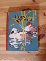 Unsere Vogelwelt Niedersachsen - Osterode am Harz Vorschau