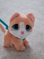 Katze mit leine (FurReal) Kinderspielzeug Köln - Köln Brück Vorschau