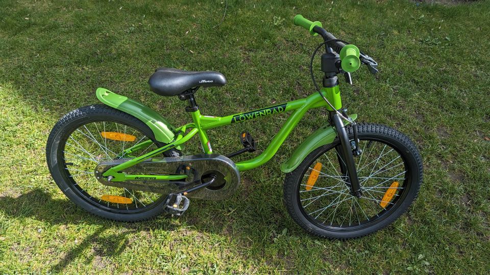 Bikestar Löwenrad Kinderfahrrad 20" grün in Pockau