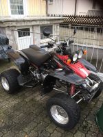 Yamaha Warrior 350 Bayern - Neu Ulm Vorschau