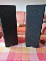 LTC Karaoke Star 3D 2x 200 watt Tower Speaker Lautsprecher Saarland - Oberthal Vorschau