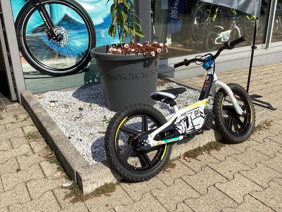 Electric Balance Bikes 16eDrive in Nordhorn