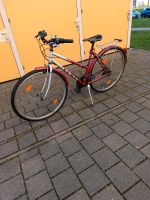 Fahrrad für Erwachsene. Dresden - Seevorstadt-Ost/Großer Garten Vorschau