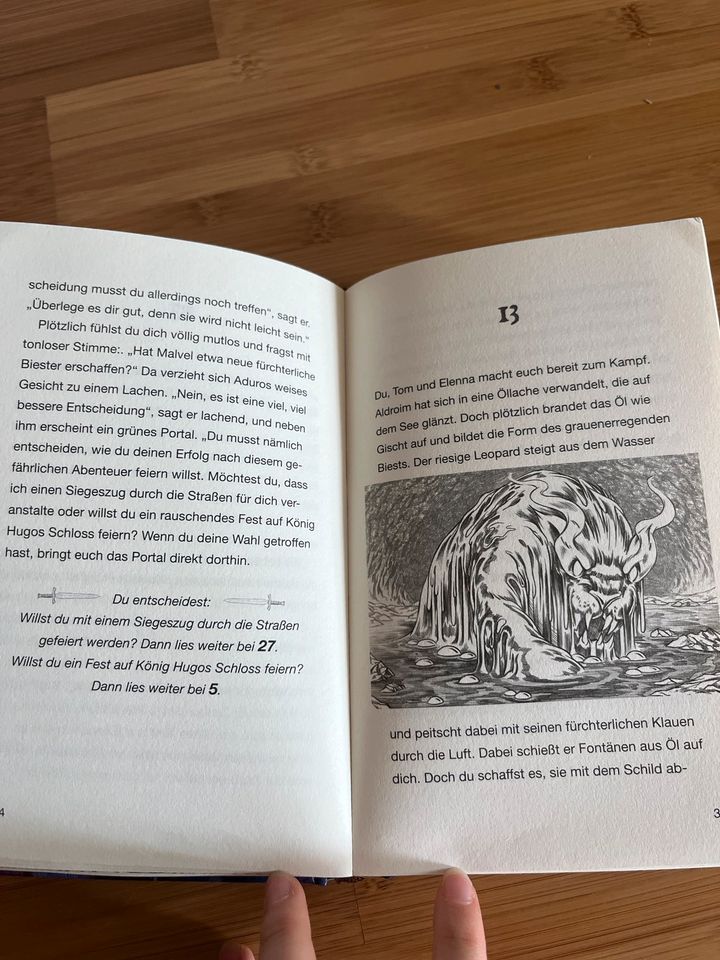 Beast Quest Buch in Helpsen