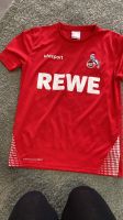 1. FC Köln Shirt Rheinland-Pfalz - Neustadt (Wied) Vorschau