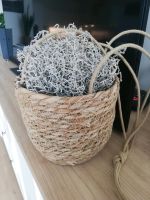 BOHO Blumentopf/ Korb zum hängen mit Silberdraht getrocknet Nordrhein-Westfalen - Haan Vorschau