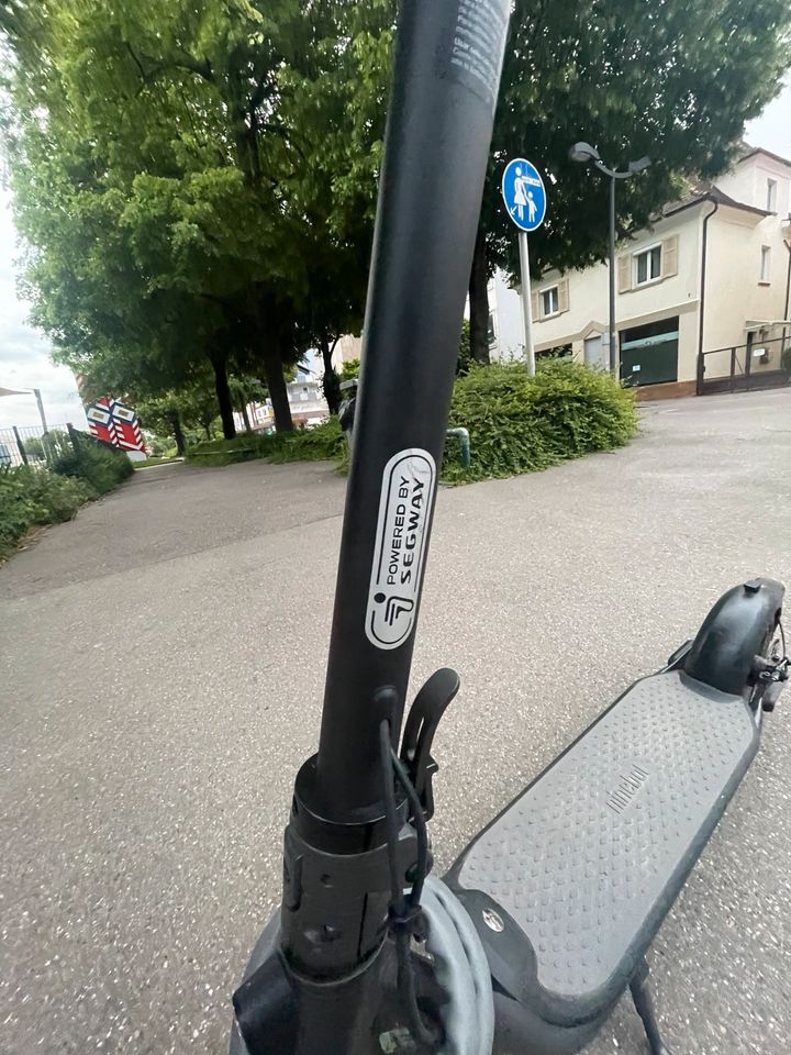 Ninebot f20d  E-scooter in Kornwestheim