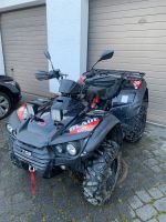 TGB Blade 550 4x4 ATV - Quad Rheinland-Pfalz - Neustadt (Wied) Vorschau