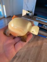 Achat Schildkröte Baden-Württemberg - Maselheim Vorschau