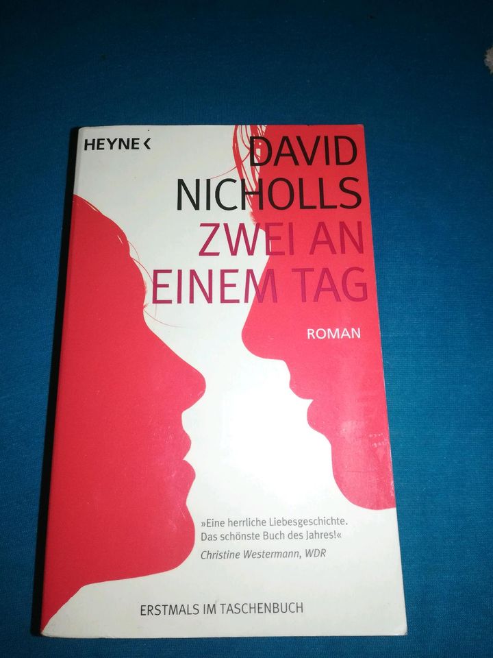 Buch, David Nicholls, Zwei an einem Tag in Salzgitter