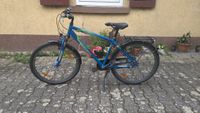 (Kinder) Fahrrad Pegasus Avanti 26", Shimano Nexus 7 Gang Rheinland-Pfalz - Ludwigshafen Vorschau