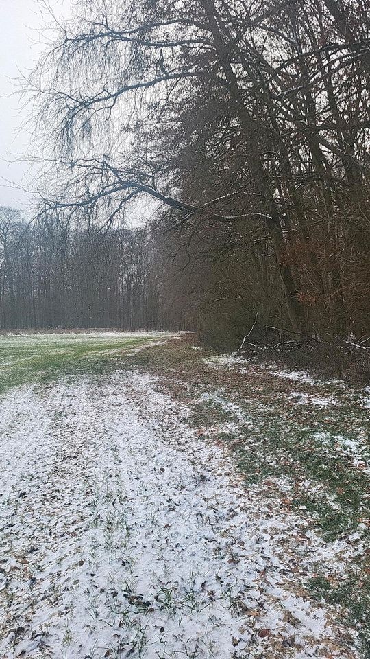 Heckenschneiden Lichtraumprofil wege und waldränder in Villmar