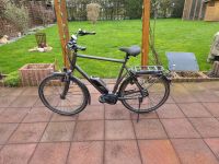 Bosch Motor Hercules E-Imperial S R8 Ebike XXL RH 68 Rahmenhöhe Nordrhein-Westfalen - Castrop-Rauxel Vorschau