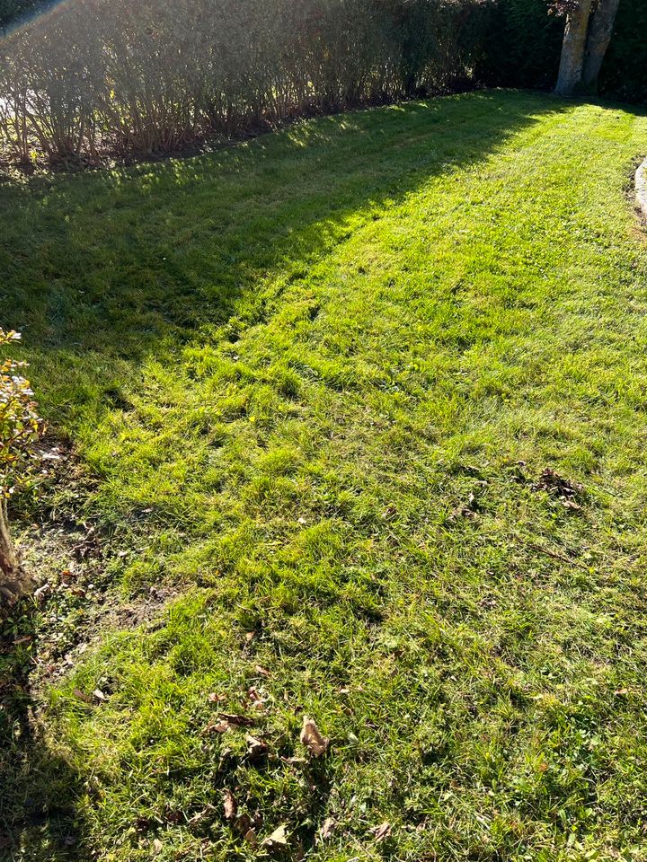 Innenausbau - Renovierungsarbeiten in Sande