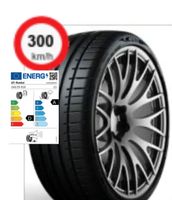 Sommerreifen255/40 R19/100Y Radar Dimax R8+ Baden-Württemberg - Pfahlhof Vorschau