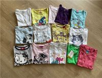 14 T-Shirts ♥️♥️♥️110/116 Niedersachsen - Nienburg (Weser) Vorschau