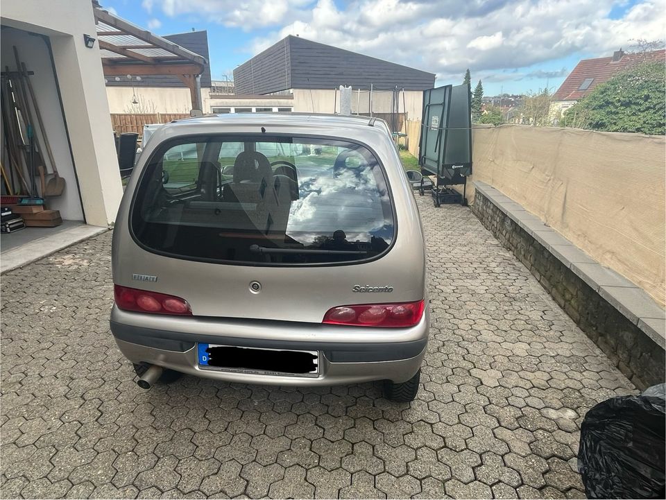 Fiat Seicento in St. Ingbert