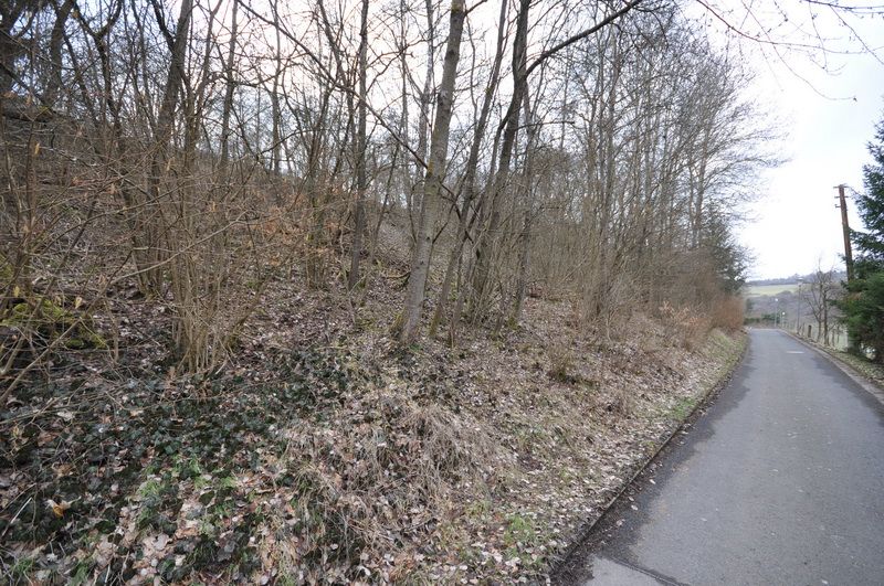 Absolut ruhig gelegenes Baugrundstück mit Fernblick in Frankenberg (Eder)