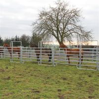 Weidepanel verschiedene Längen Mobilzaun Panel Pferdebox Zaun NEU Bremen - Oberneuland Vorschau