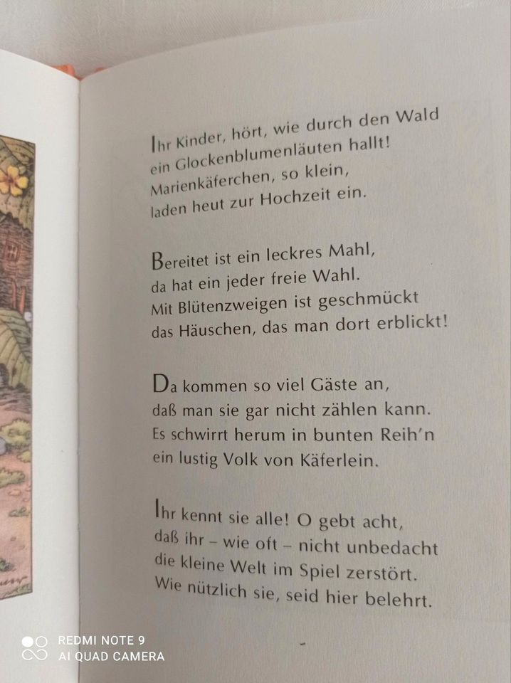 Kinderbuch Die Käferhochzeit von Käthe Beintker 1996 in Görlitz