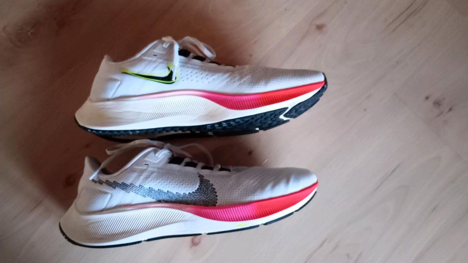 Nike Pegasus 38 Gr.47.5 in Unterneukirchen