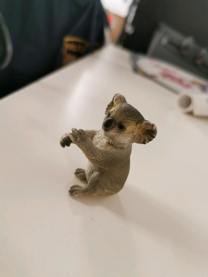 Schleich Koala in Grafenrheinfeld