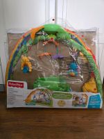 fisher price spielbogen Sachsen-Anhalt - Halle Vorschau