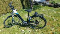 E-Bike Pegasus Primo  EVO 10 Baden-Württemberg - Haigerloch Vorschau