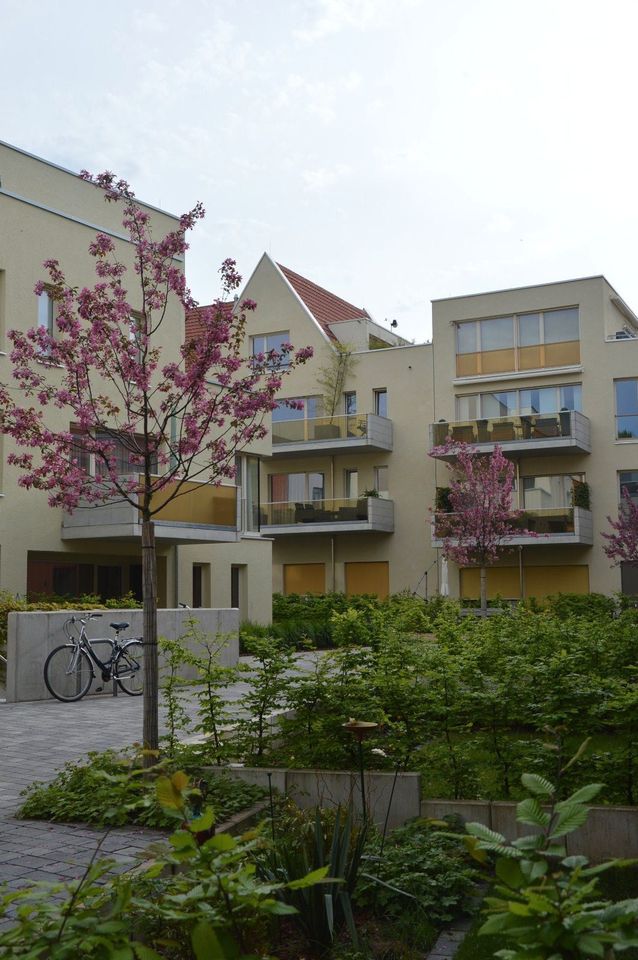 2-Raum Wohnung im Zentrum von Erfurt in Erfurt