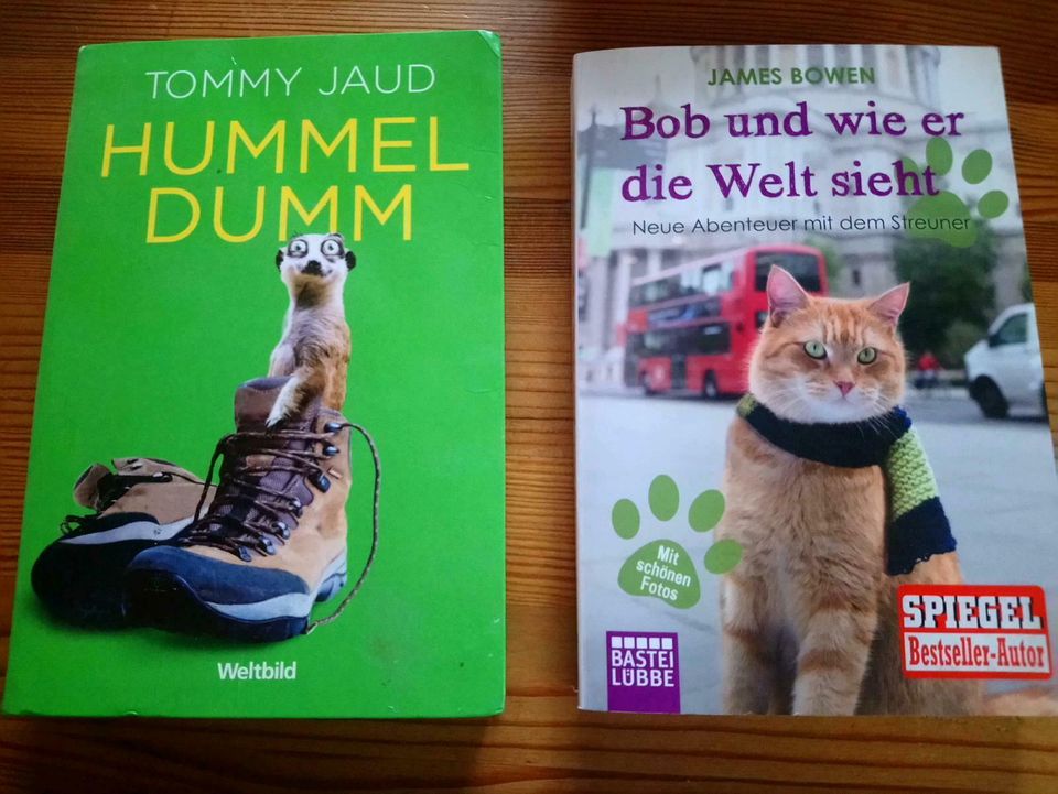 Buch Roman Hummel Dumm Bobund wie er die Welt sieht in Adelshofen (Oberbayern)