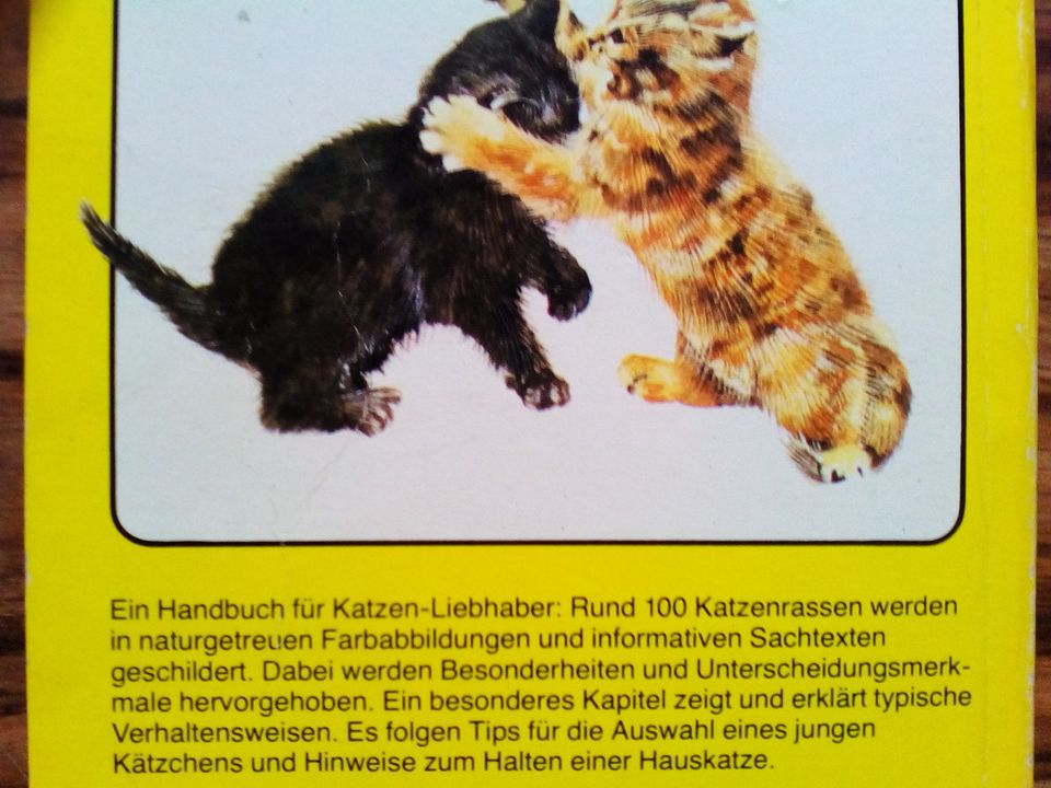 Kennst du diese Katzen? Ravensburger Taschenbücher in Isenbüttel